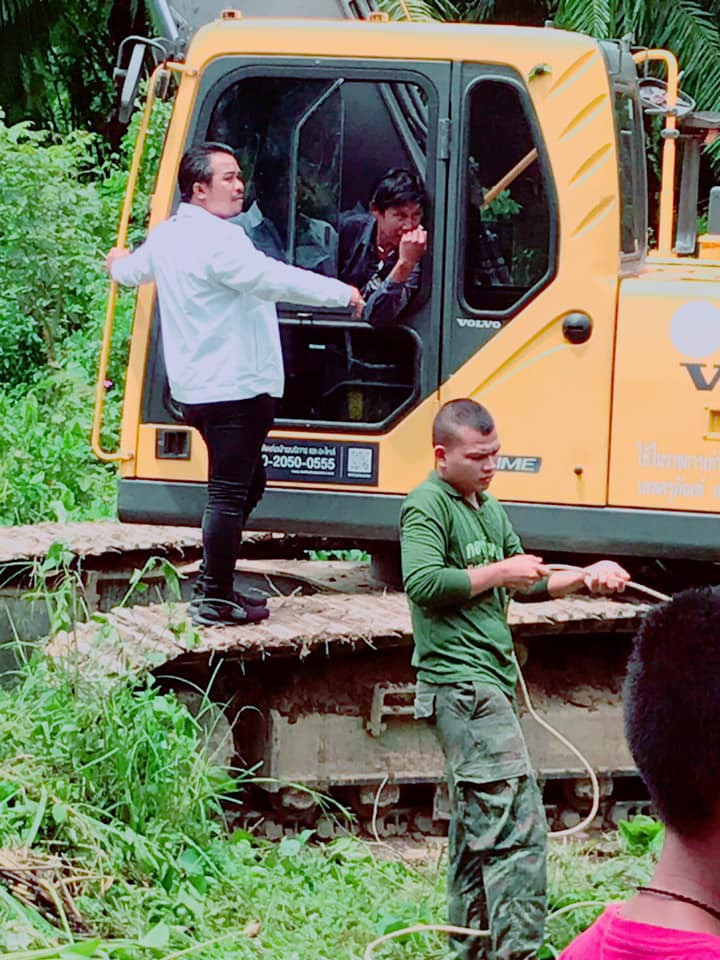 กำจัดผักตบชวา
