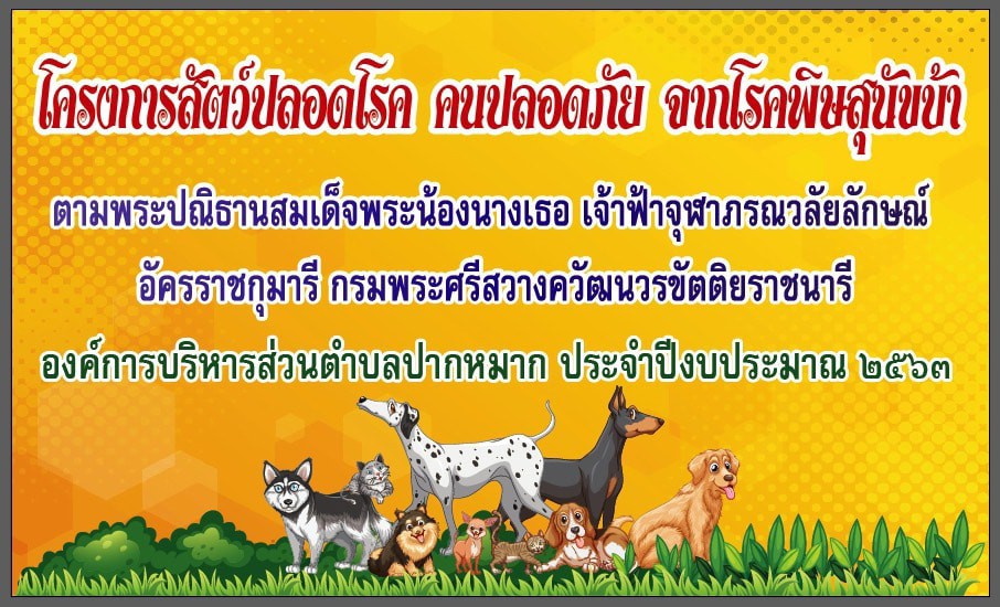 โครงการสัตว์ปลอดโรค คนปลอดภัย จากโรคพิษสุนัขบ้า ตามพระพระปณิธานสมเด็จพระเจ้าน้องนางเธอ เจ้าฟ้าจุฬาภรณวลัยลักษณ์ อัครราชกุมารี กรมพระศรีสวางควัฒน วรขัตติยราชนารี ประจำปีงบประมาณ 2563